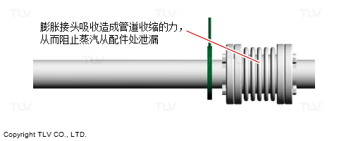 防止蒸汽泄漏 Tlv 蒸汽专家 中国
