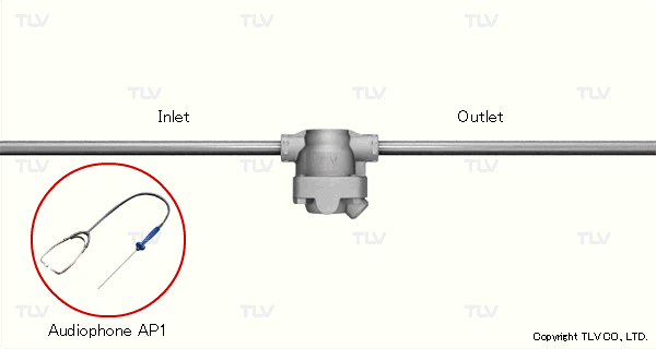 A special stethoscope with a combination of a listening needle and diaphragm is suitable